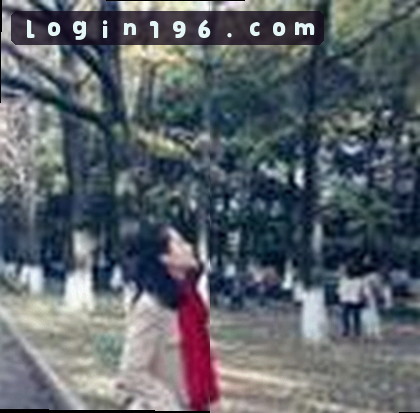李婉清